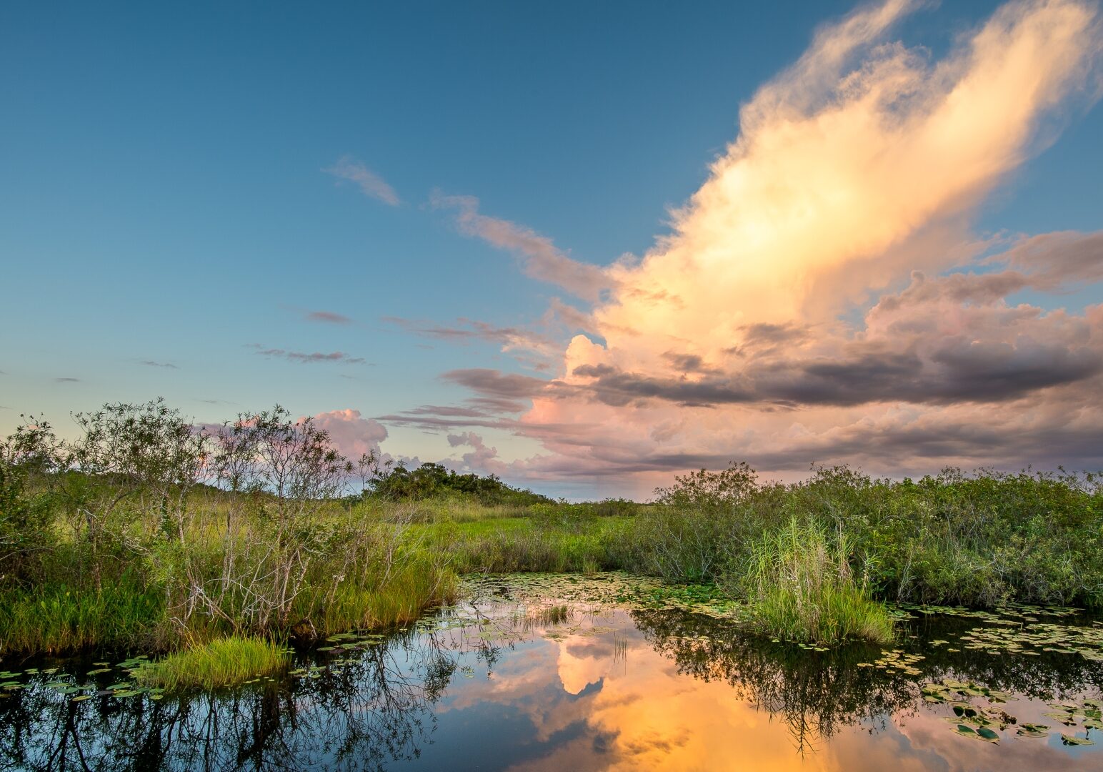 shutterstock_2153241927